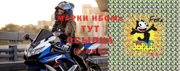 прущие грибы Пересвет