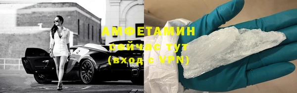 прущие грибы Пересвет