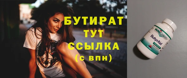 прущие грибы Пересвет