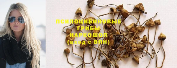прущие крисы Переславль-Залесский