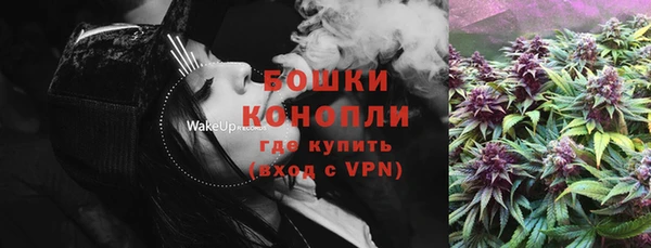 прущие грибы Пересвет