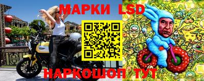СК Ирбит