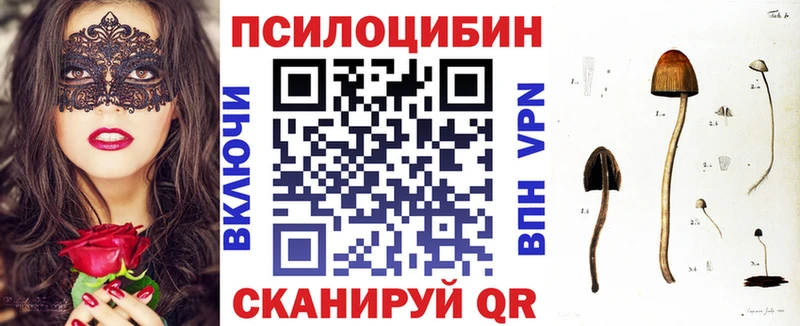 Галлюциногенные грибы Psilocybine cubensis  Тулун 