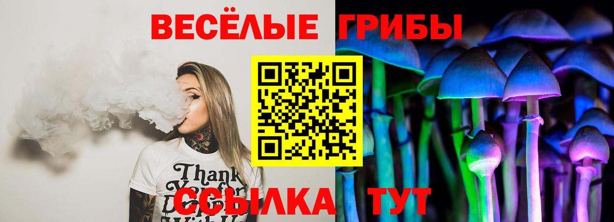 Галлюциногенные грибы Cubensis  Тулун 